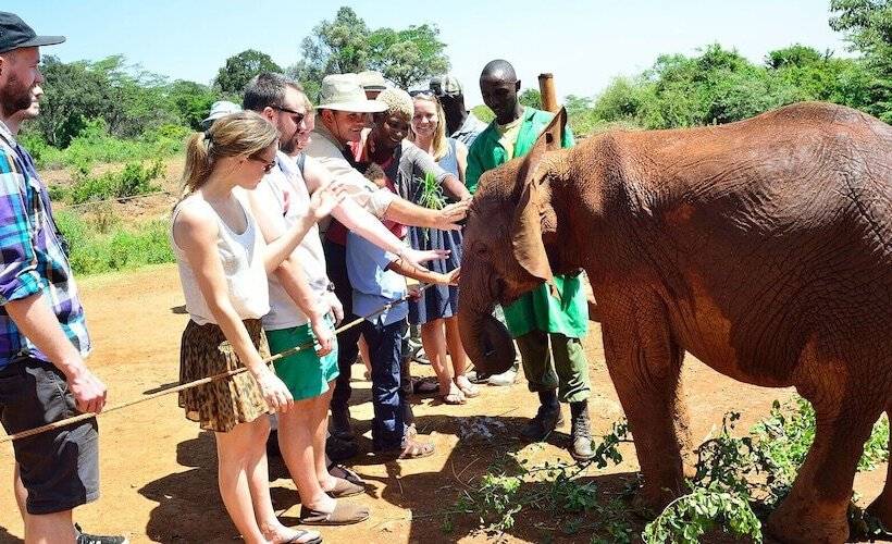 پانسیون Red Buffalo House