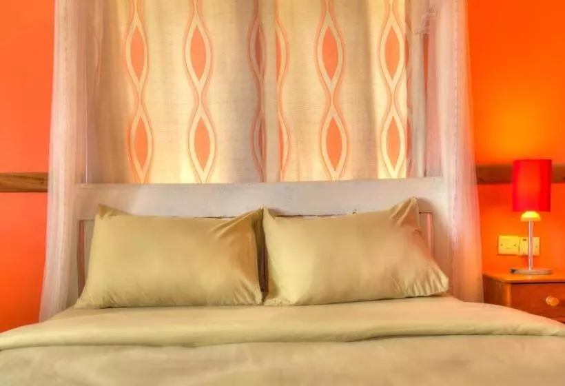 پانسیون Red Buffalo House