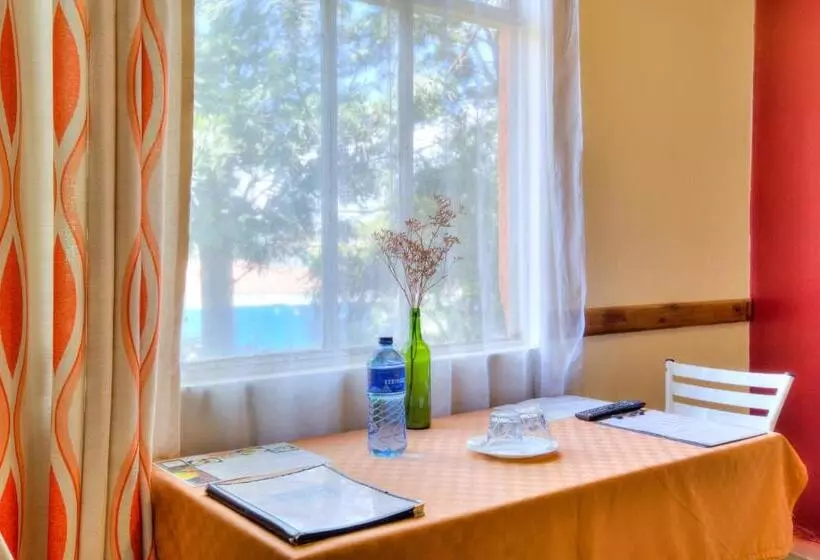 پانسیون Red Buffalo House