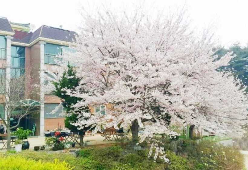 Daebudo Supsok Pension