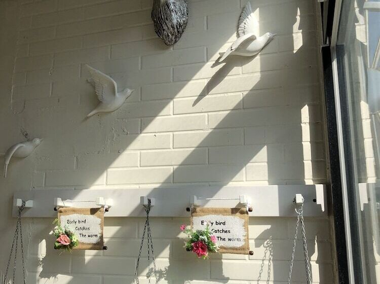 پانسیون Chi House