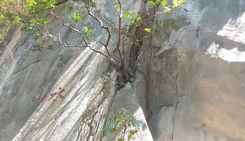 پانسیون Hoi An Town Of Viet House Homestay