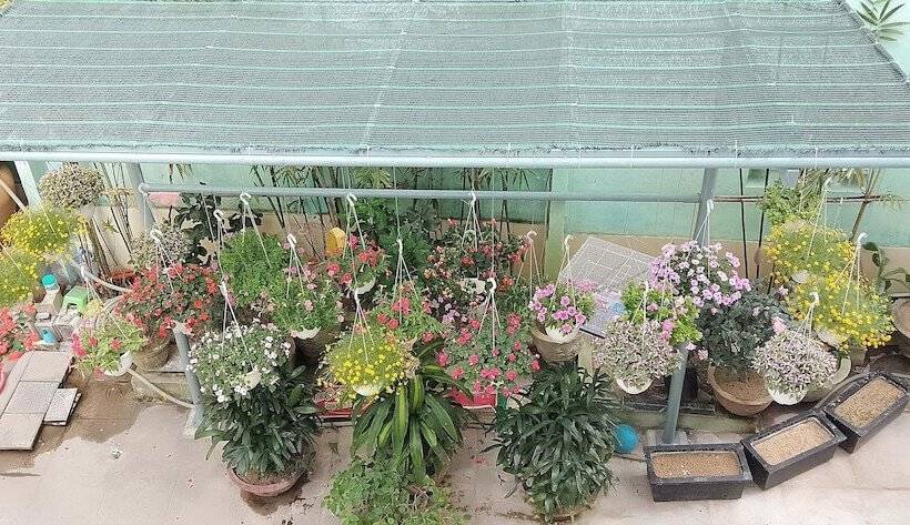 پانسیون Hoi An Town Of Viet House Homestay