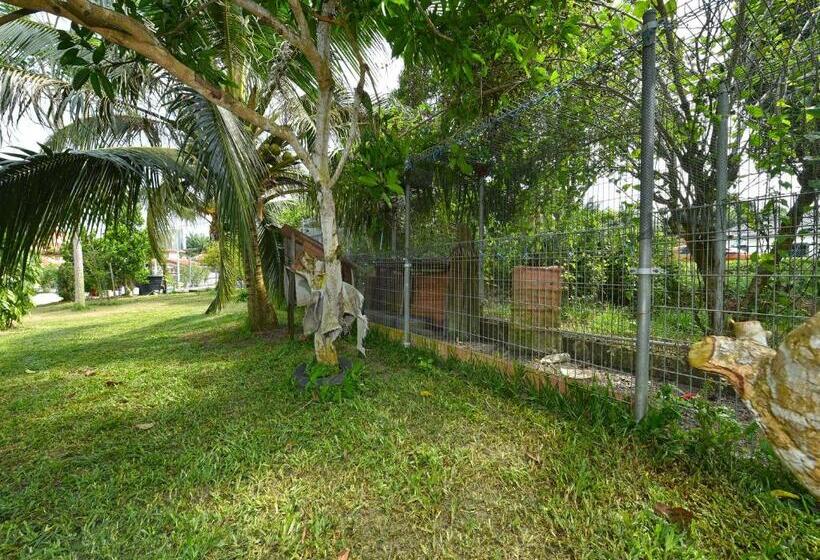 Hotel Capital O 90558 My Daddy Farm Chalet