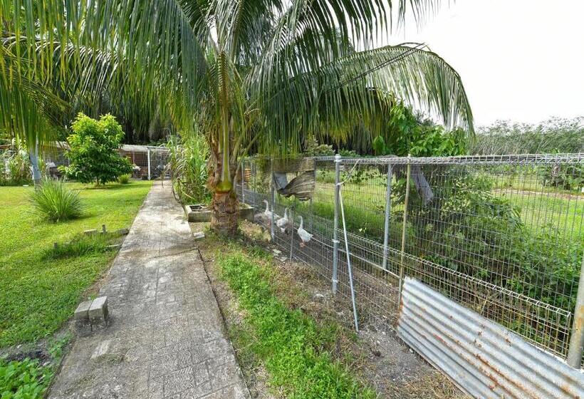 Hotel Capital O 90558 My Daddy Farm Chalet