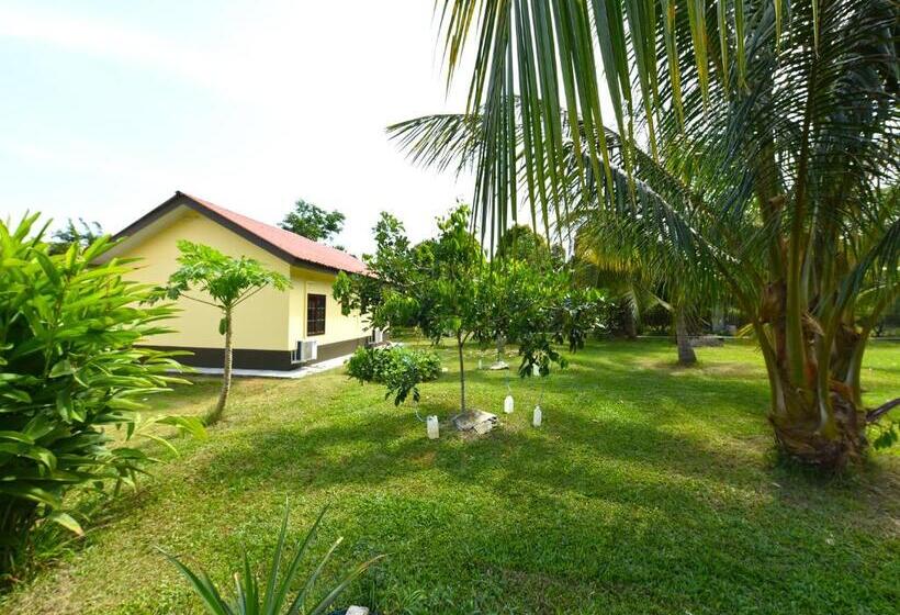 Hotel Capital O 90558 My Daddy Farm Chalet