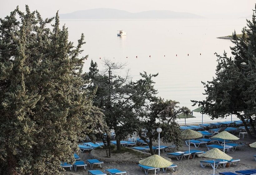 Altin Yunus Apart Beach Plus