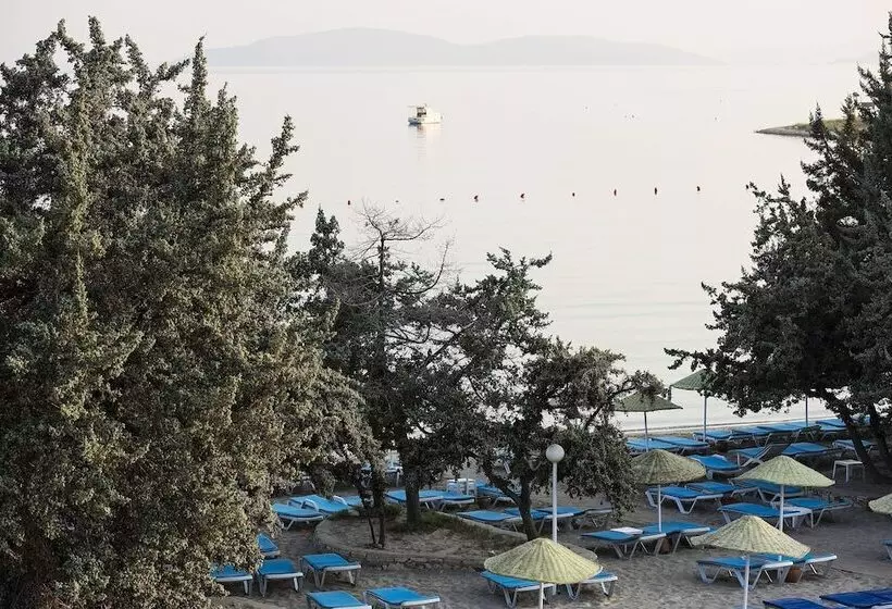 Altin Yunus Apart Beach Plus