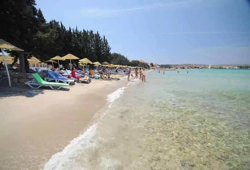 Altin Yunus Apart Beach Plus