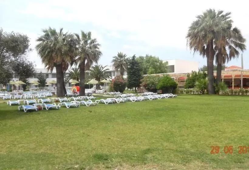 Altin Yunus Apart Beach Plus