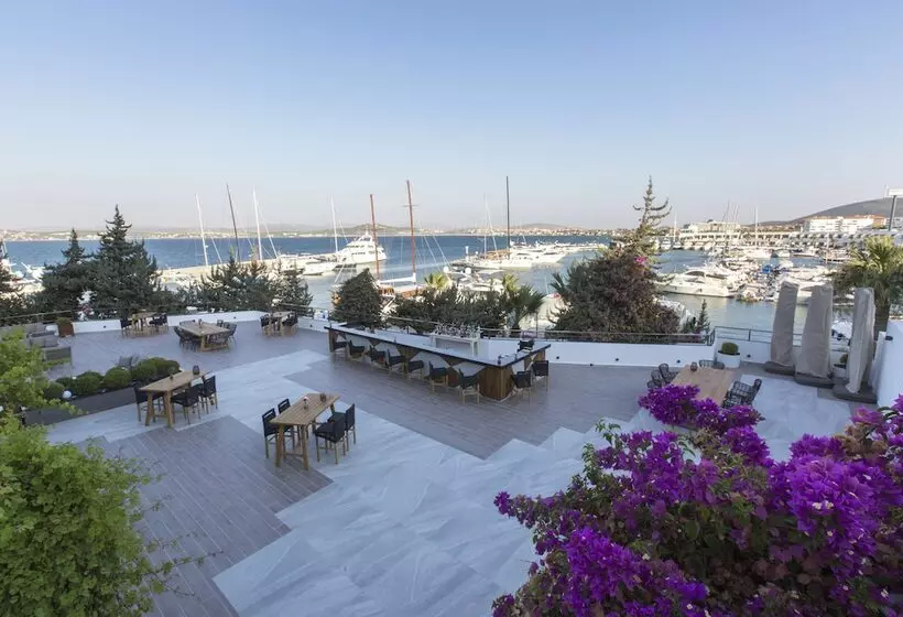 Altin Yunus Apart Beach Plus