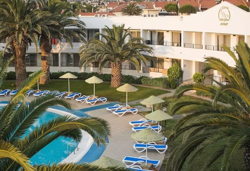 Altin Yunus Apart Beach Plus