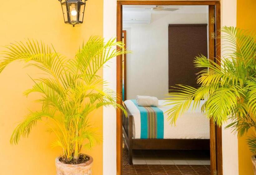 ベッドアンドブレックファースト Boutique By The Museo