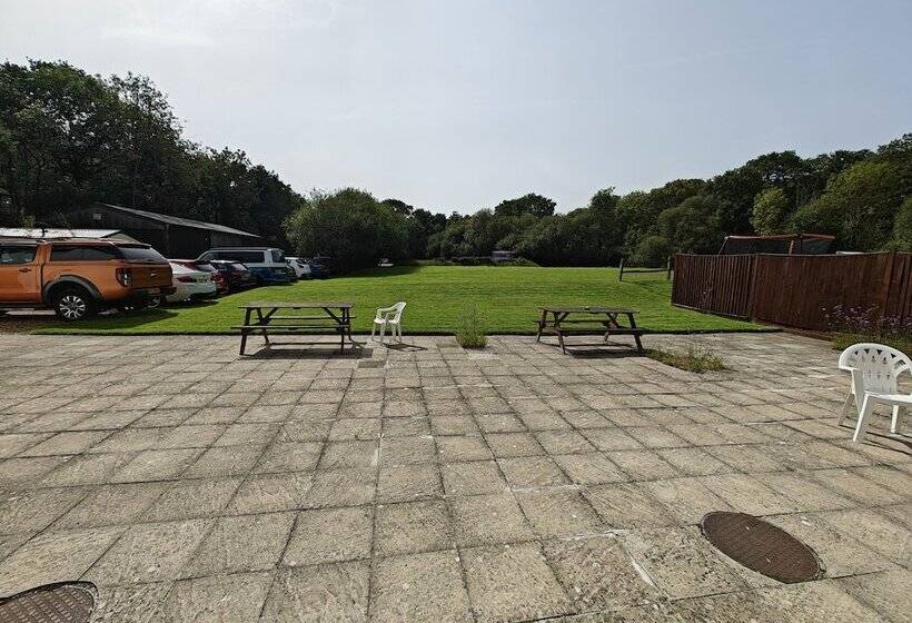 住宿加早餐  Little Foxes Hotel & Gatwick Airport Parking