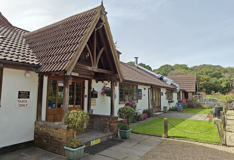 住宿加早餐  Little Foxes Hotel & Gatwick Airport Parking