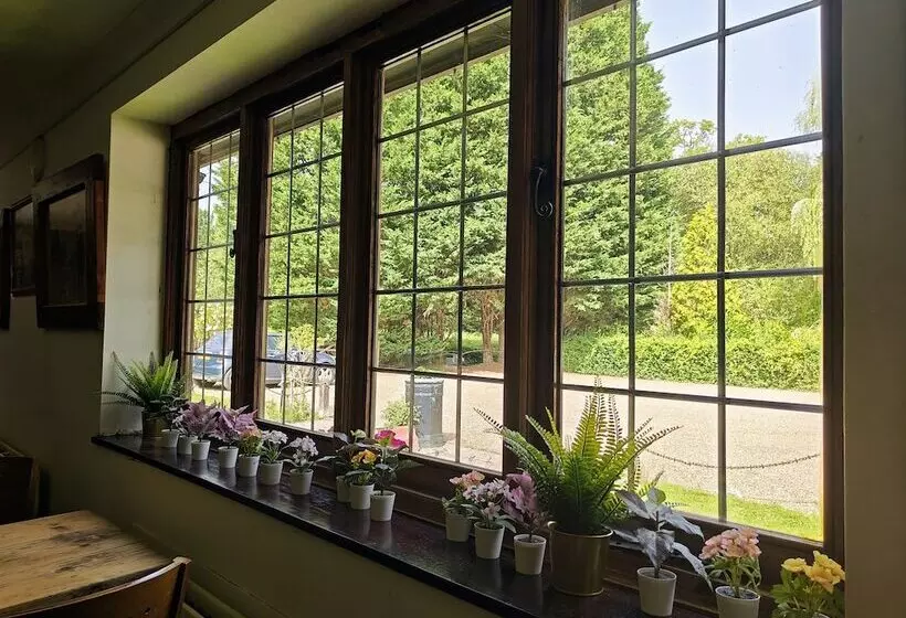 Bed and Breakfast Little Foxes Hotel & Gatwick Airport Parking