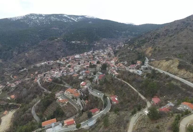 هتل Christys Palace