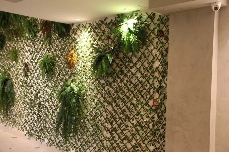 Отель Crocobeach