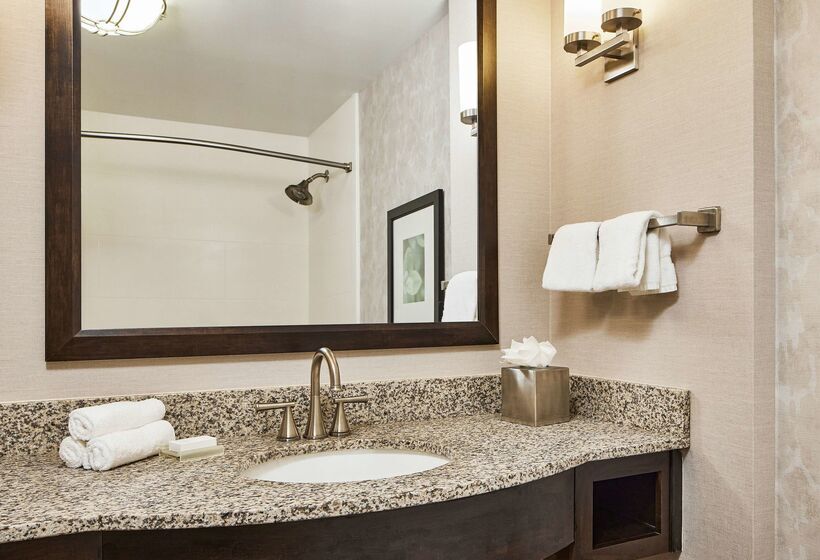 هتل Hilton Garden Inn Nashville Downtown/convention Center