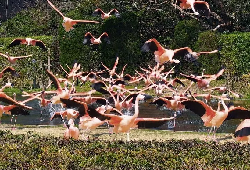 酒店 Mystays Miyazaki