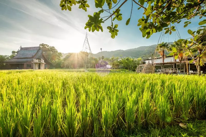 Hotel Naina Resort & Spa   Sha Extra Plus