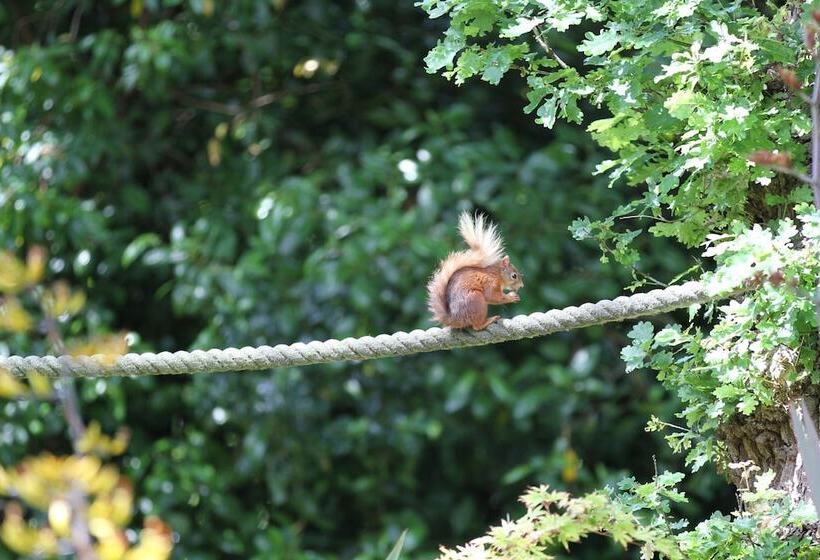 ホテル Rylstone Manor