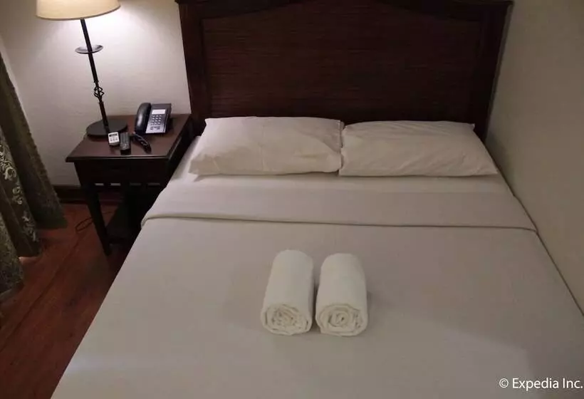 Hotel Salcedo De Vigan