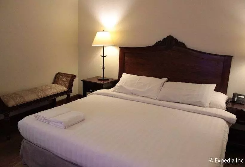 Hotel Salcedo De Vigan