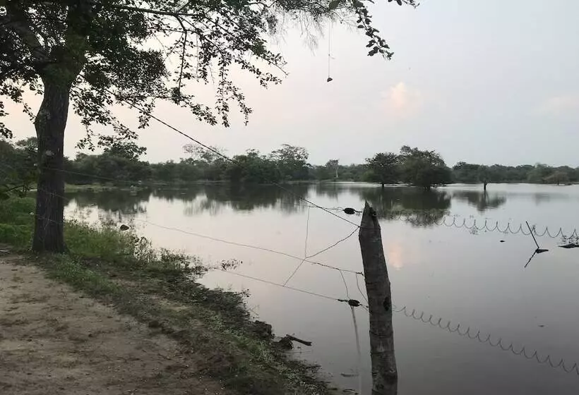 فندق The Elephant Pass Yala