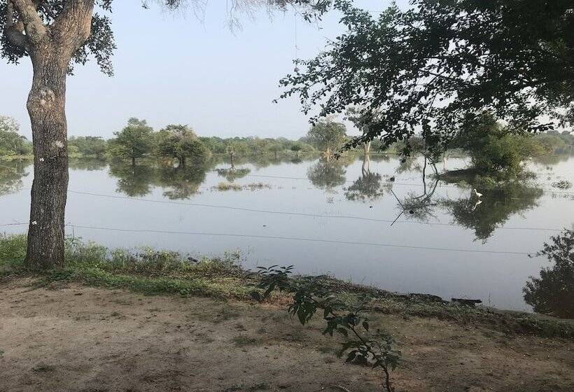 فندق The Elephant Pass  Yala