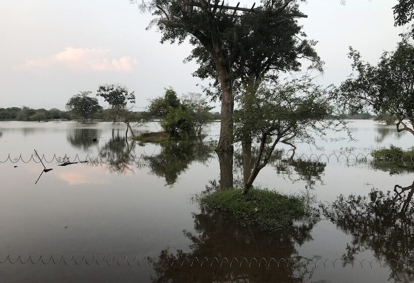 فندق The Elephant Pass  Yala