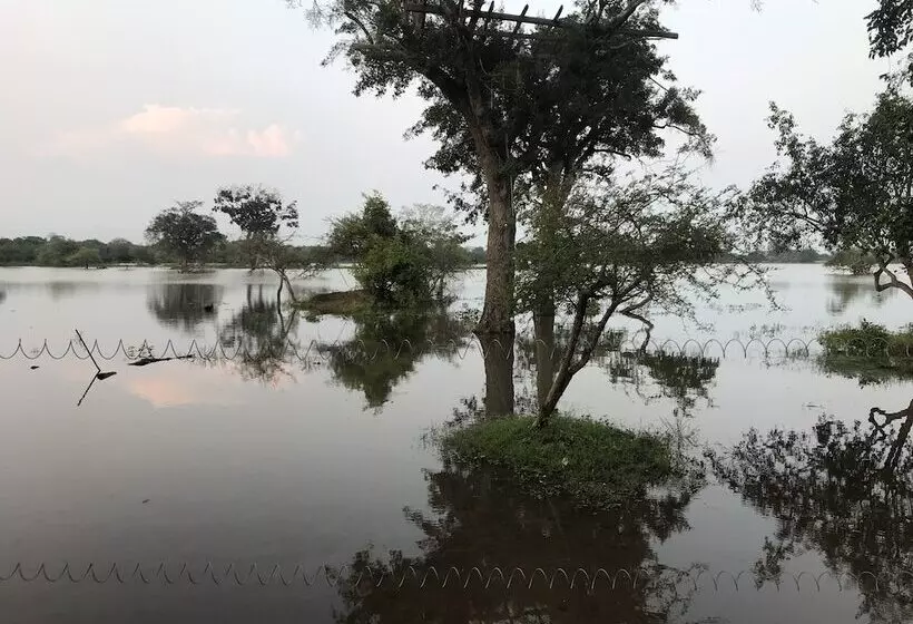 فندق The Elephant Pass Yala