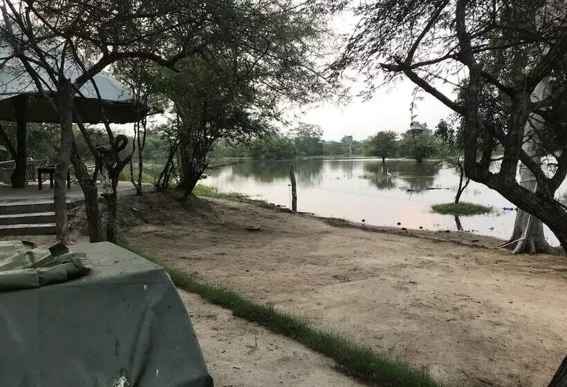 فندق The Elephant Pass Yala