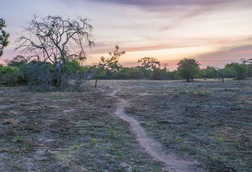 فندق The Elephant Pass  Yala