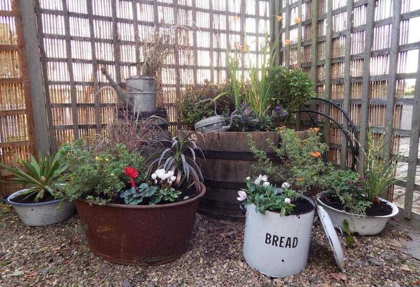 فندق The Ivy House