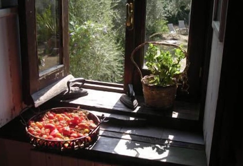 بنسيون Casa Migliaca