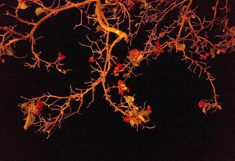 بنسيون Casa Migliaca