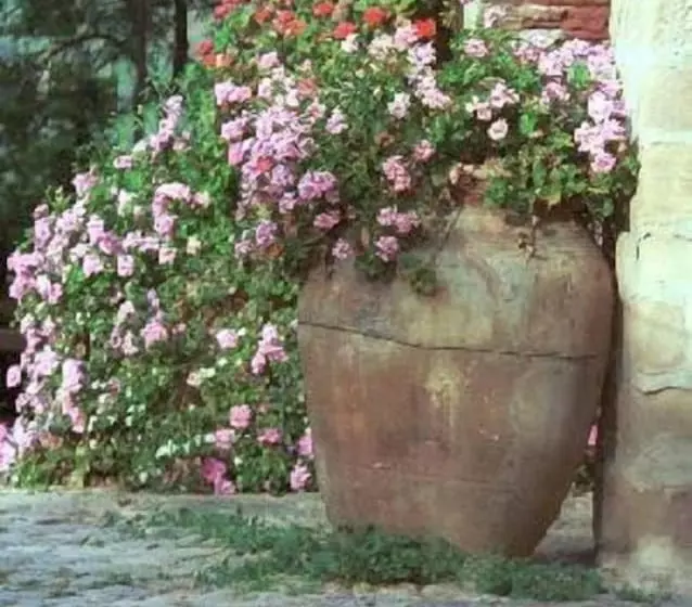 Пансион Casa Migliaca