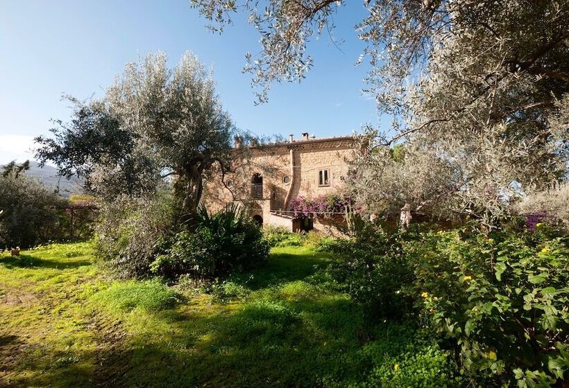 بنسيون Casa Migliaca