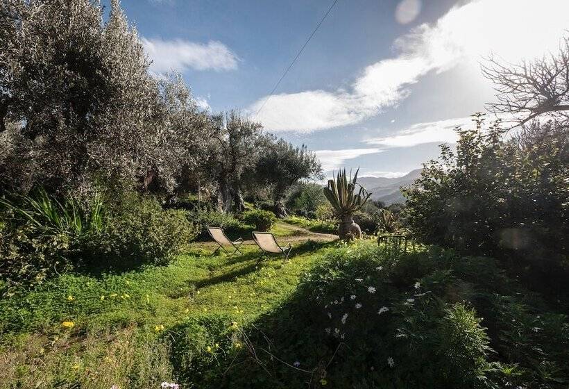 بنسيون Casa Migliaca