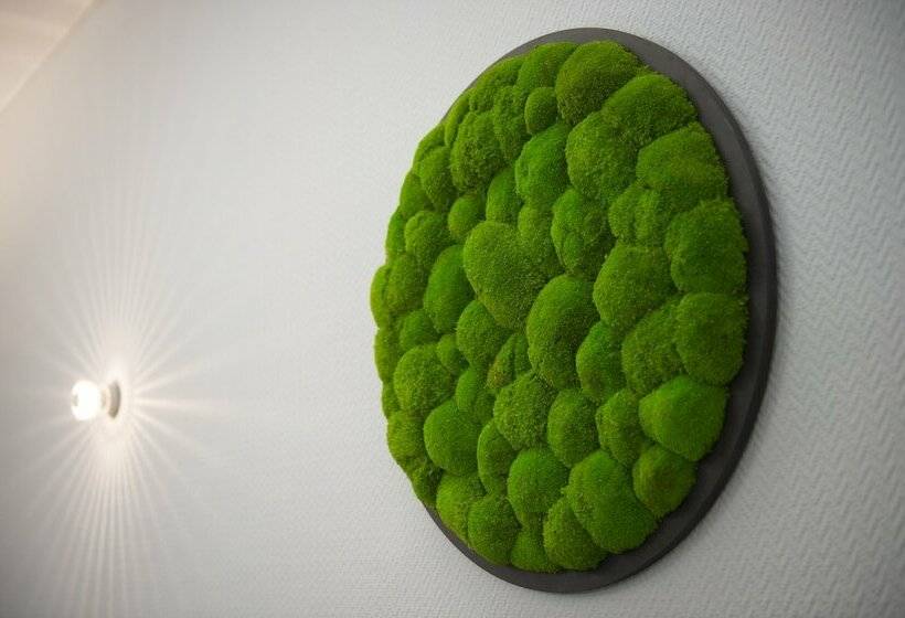 فندق Platzhirsch