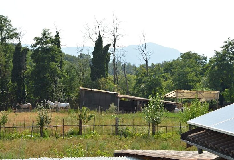 فندق ريفى Agriturismo Cascina Scola