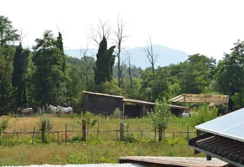 田舎風ホテル Agriturismo Cascina Scola