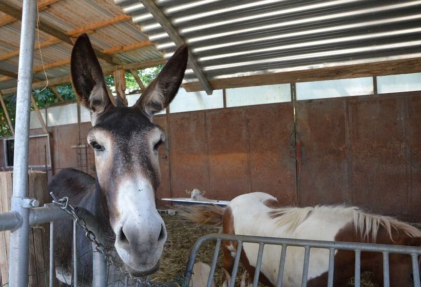 فندق ريفى Agriturismo Cascina Scola
