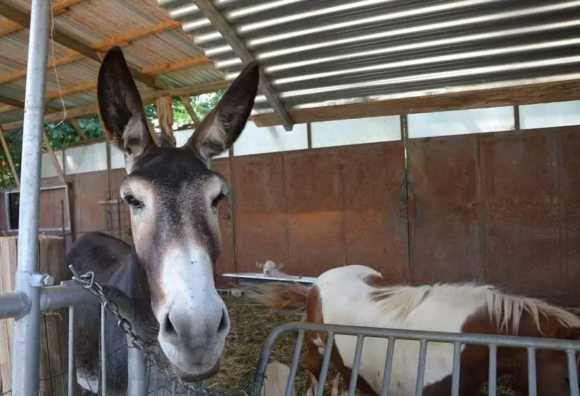 田舎風ホテル Agriturismo Cascina Scola