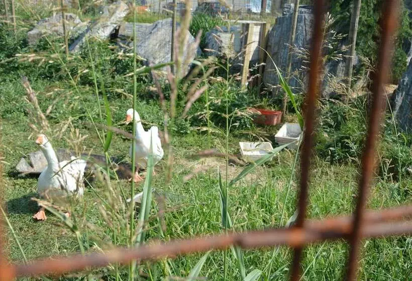 田舎風ホテル Agriturismo Cascina Scola