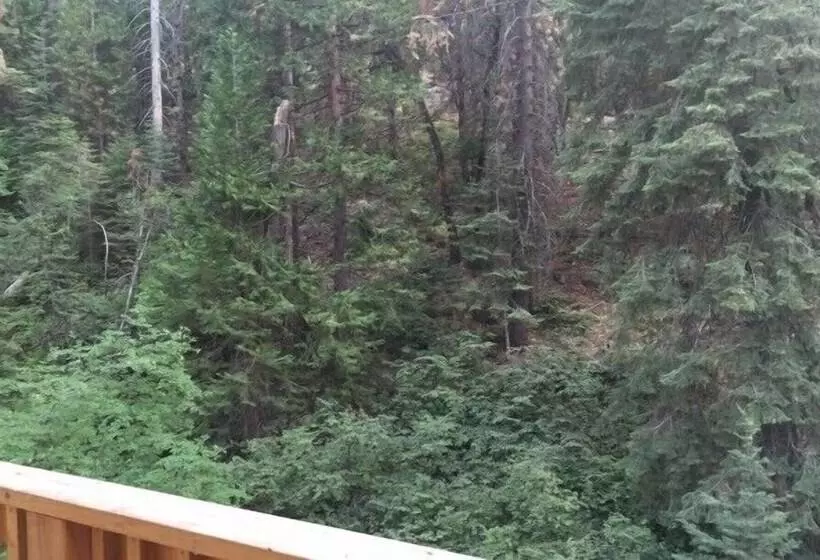 Scenic Wonders Dogwood Manor 3 Bedrooms