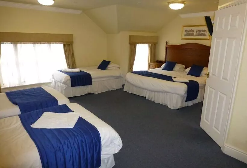 Отель The Atherstone Red Lion