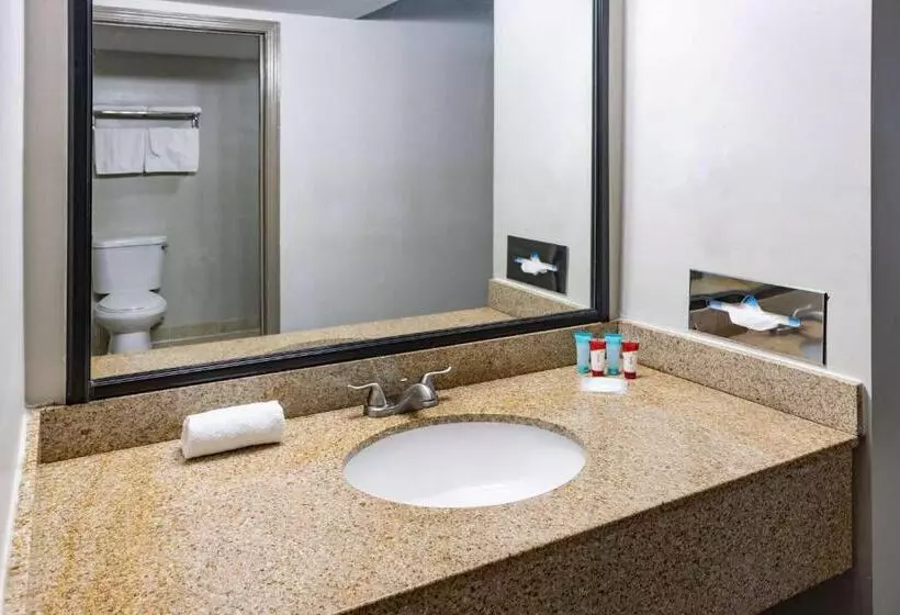 هتل Days Inn By Wyndham Hartsfield Jackson Atlanta Airport West