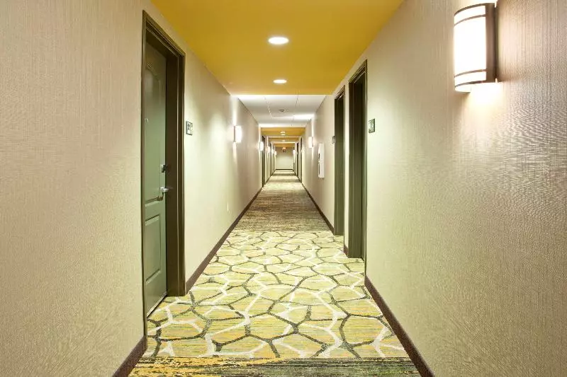 ホテル Hampton Inn & Suites Minneapolis/downtown